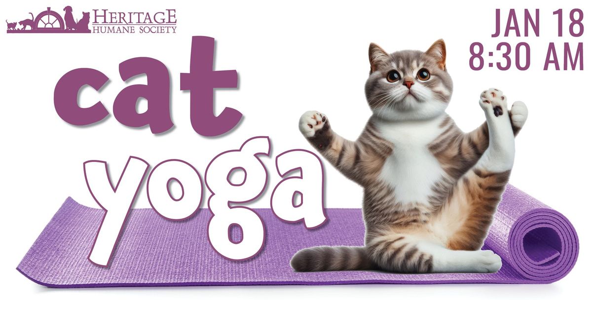 Cat Yoga