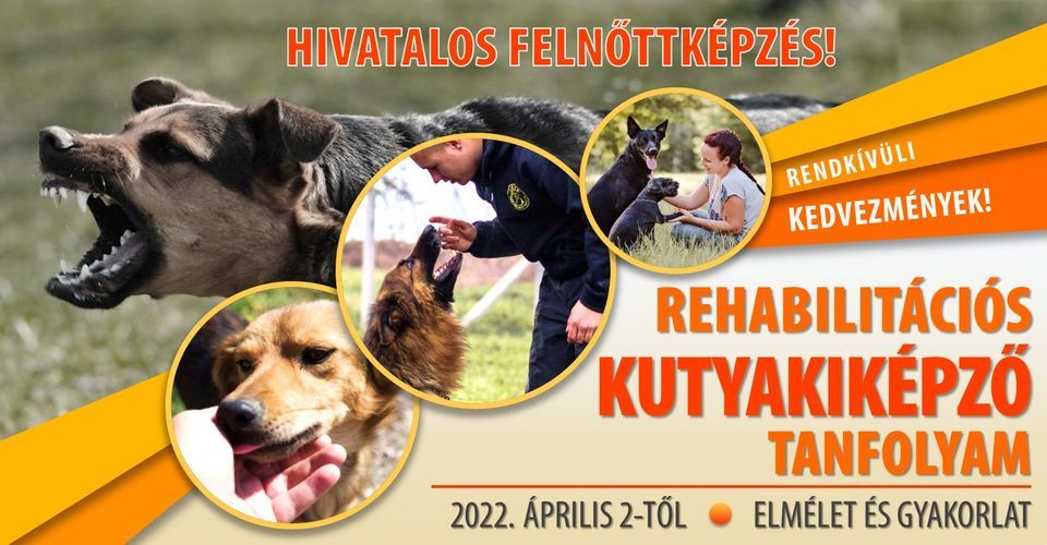 REHABILIT\u00c1CI\u00d3S KUTYAKIK\u00c9PZ\u0150 TANFOLYAM (Hivatalos feln\u0151ttk\u00e9pz\u00e9s!)
