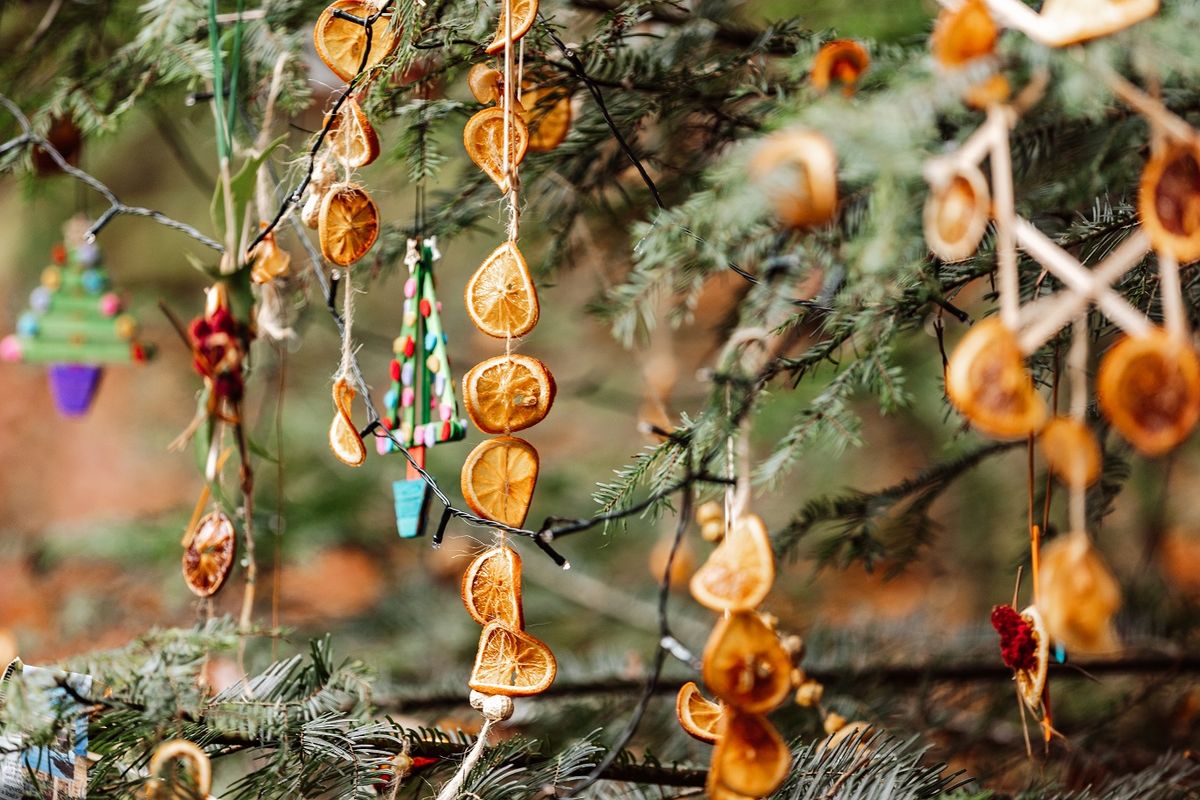 Christmas in Comer Woods - Bridgnorth