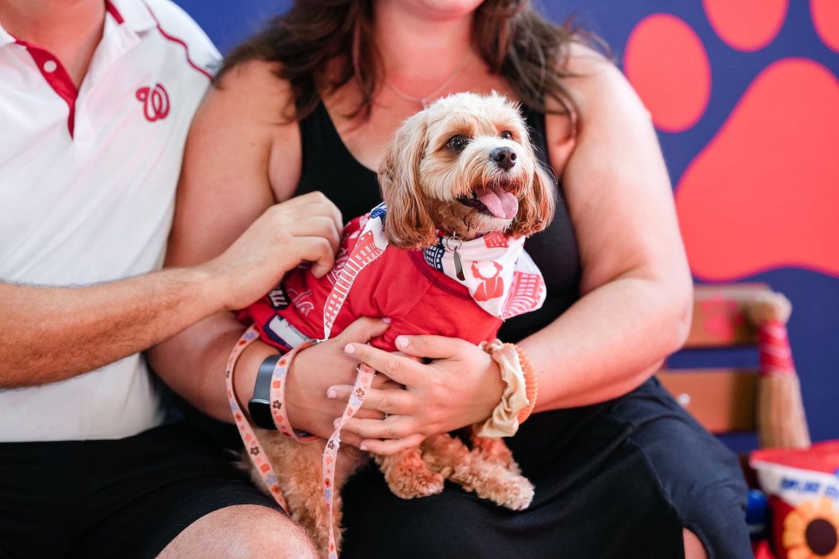 Pup at BOND|ST Event Centre