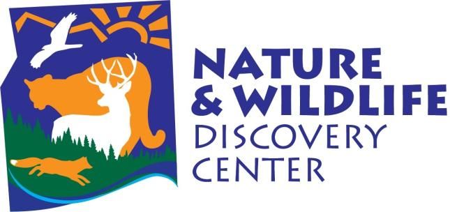 Live Birds of Prey with the Nature and Wildlife Discovery Center