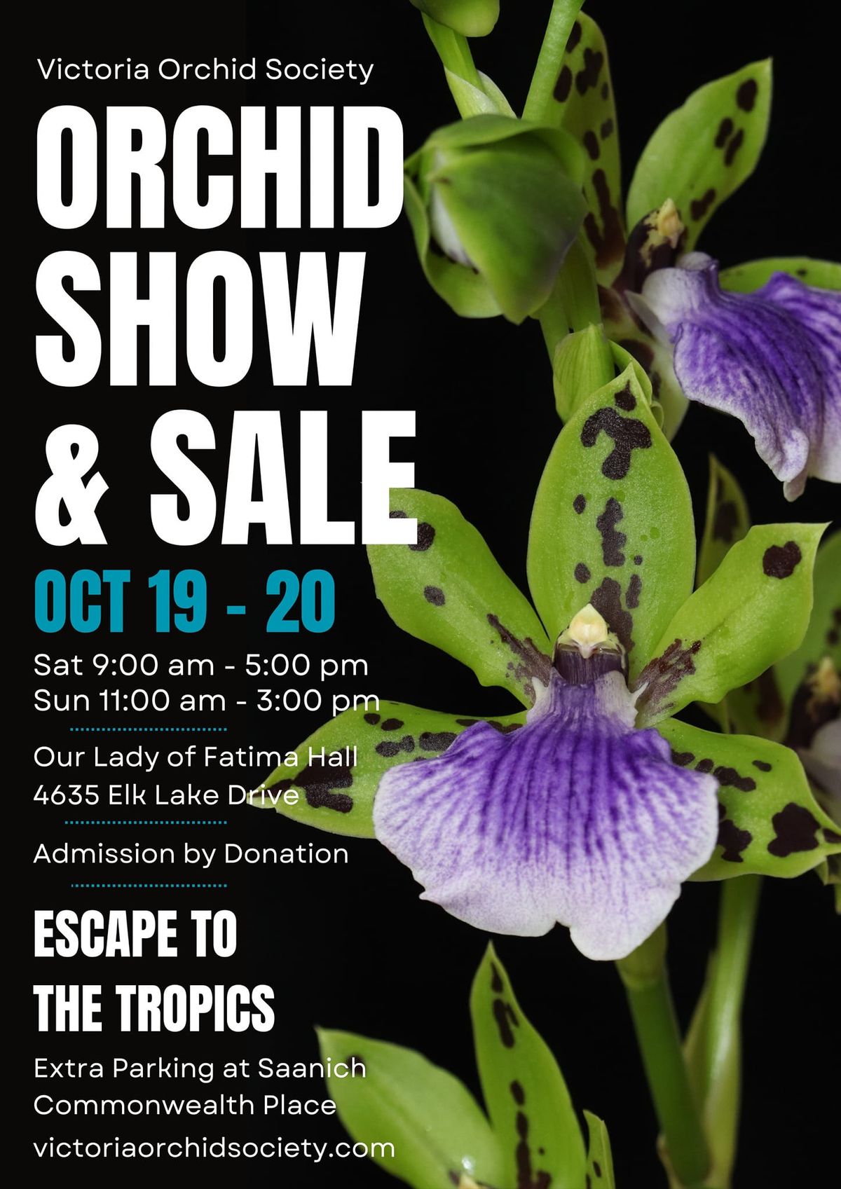 Orchid Show