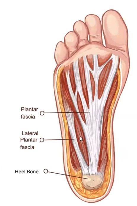 Movement RX - Feet