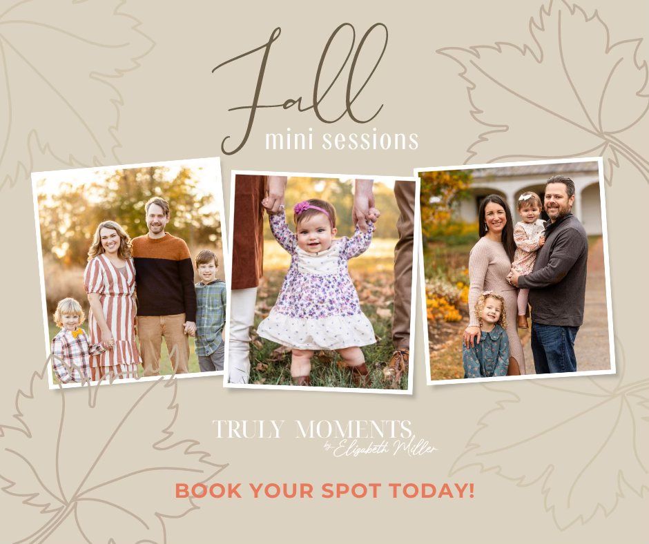 Fall Mini Sessions