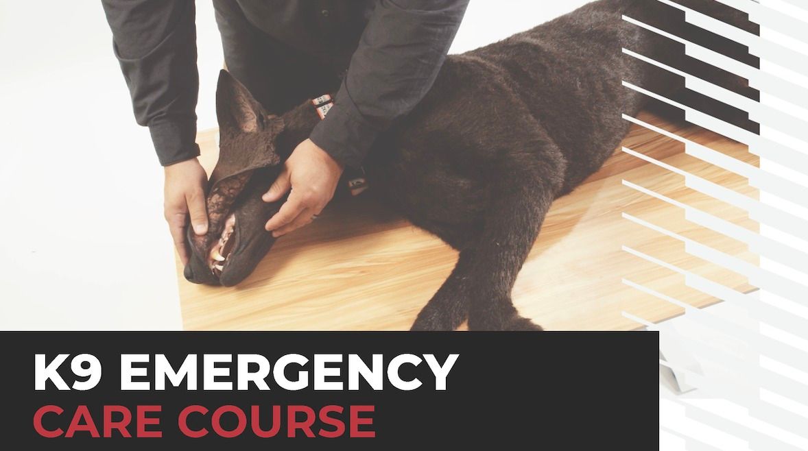 K9 Emergency Care Course