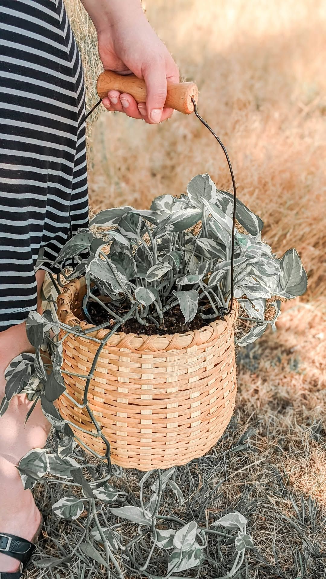 Learn and Make a Bean Basket in a cozy Farmhouse with fun people