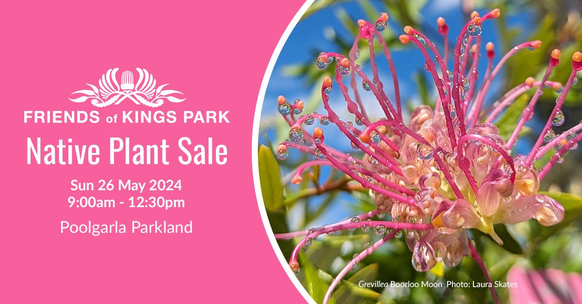 Friends of Kings Park May Native Plant Sale