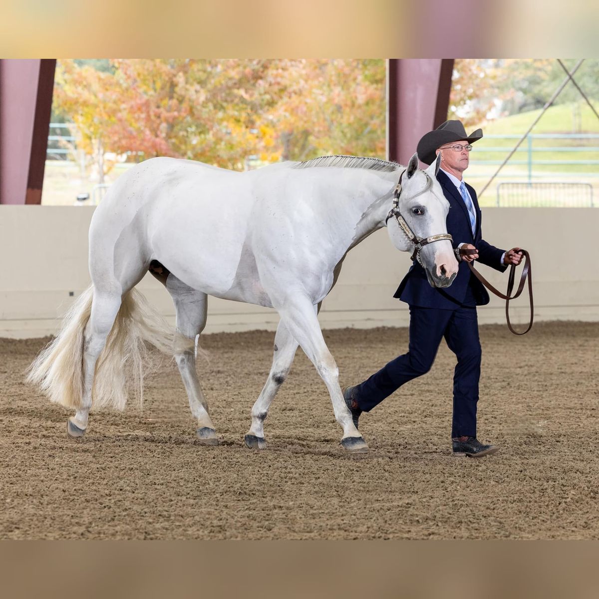 Showmanship Clinic