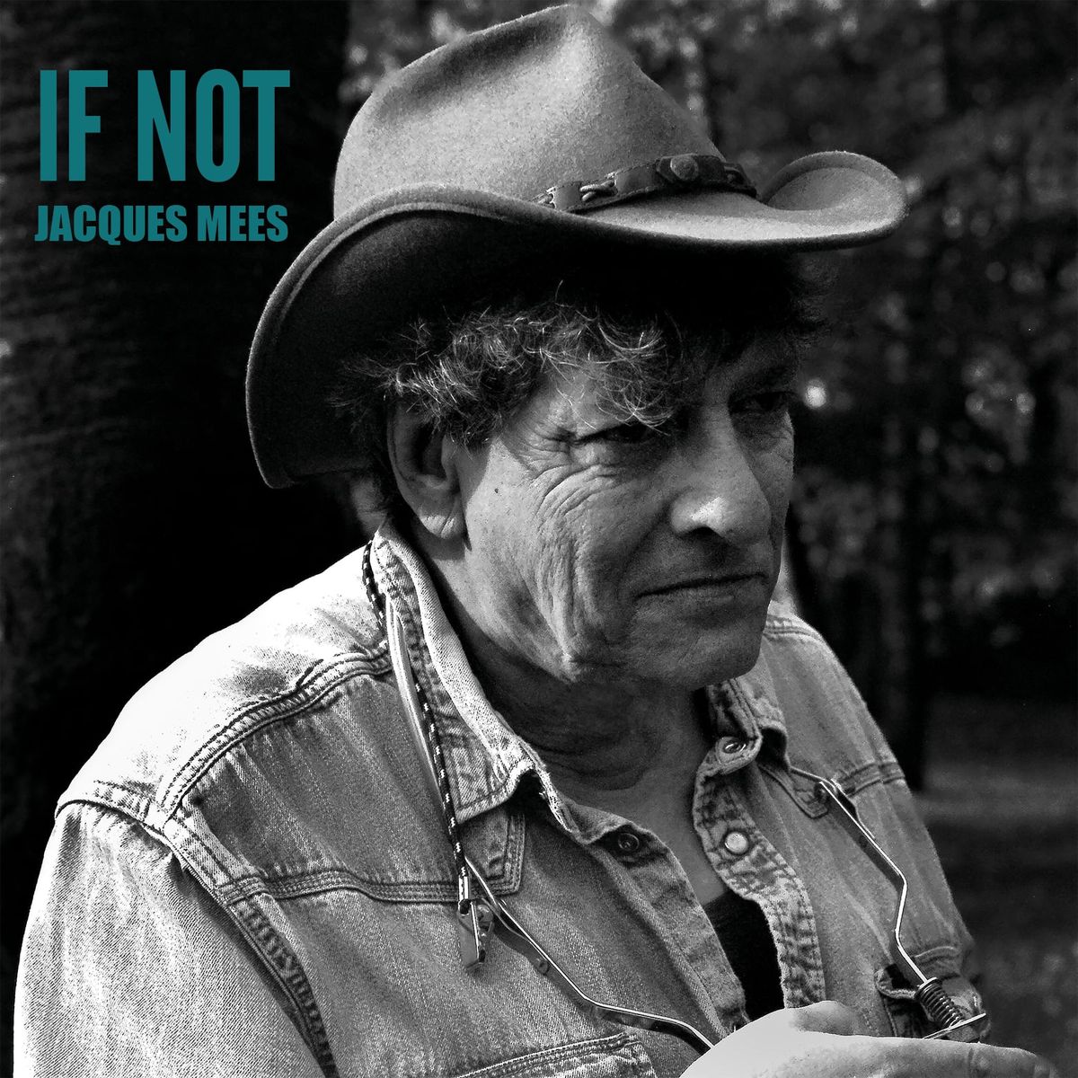 CD presentatie *IF NOT* - Jacques Mees Sings Bob Dylan