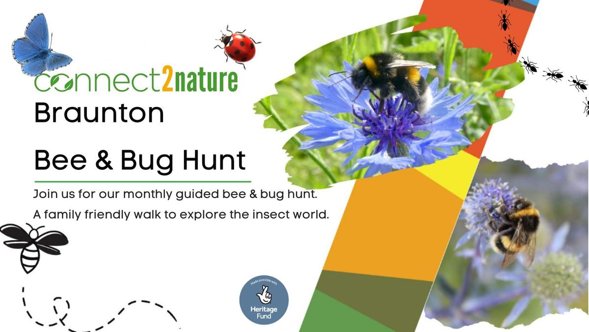 Braunton Bee & Bug Hunt