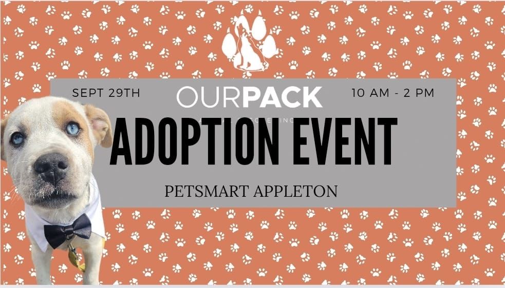 Our Pack Adoption Event Appleton Petsmart 