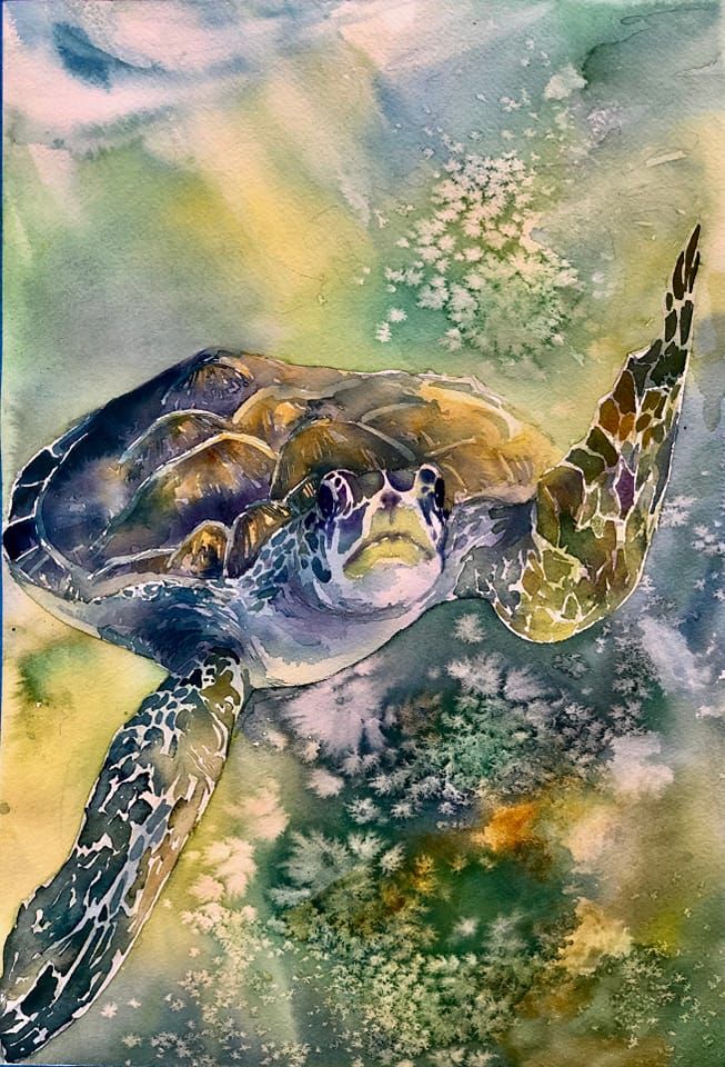 LEARN TO PAINT THE FABULOUS SEA TURTLE IN WATERCOLOUR 