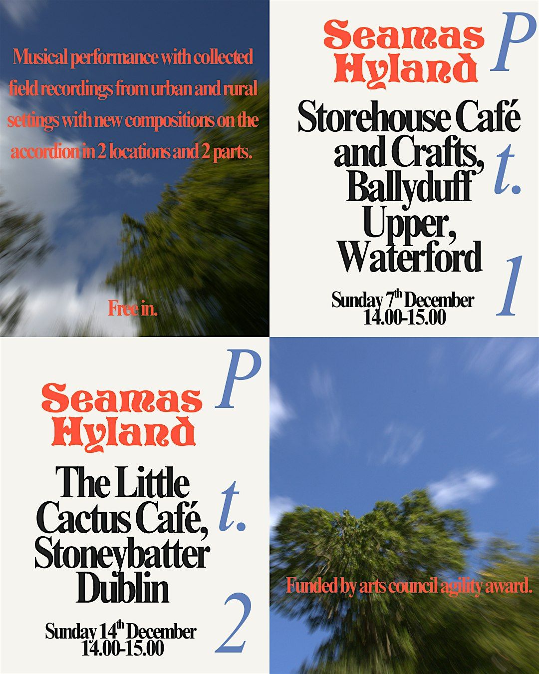 Seamas Hyland - The Little Cactus, Dublin