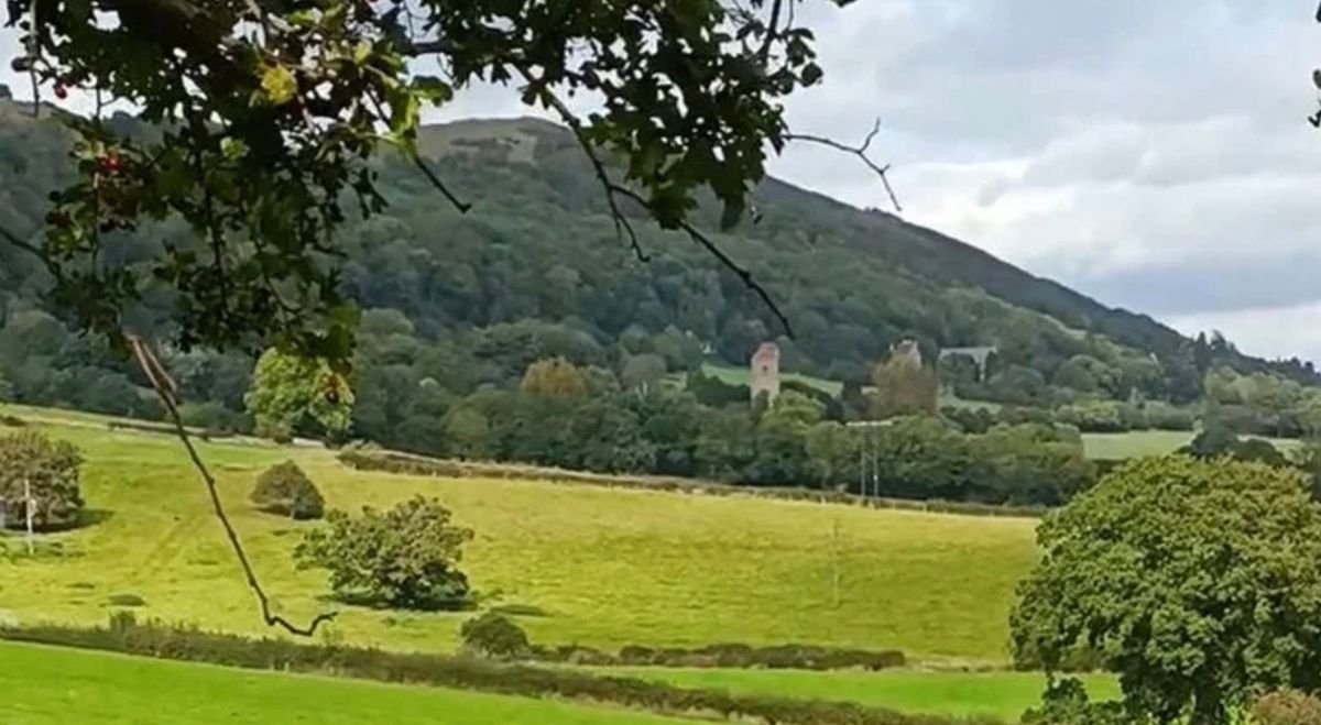 Autumn Walk - Hollybed & Castlemorton Common - 7 miles