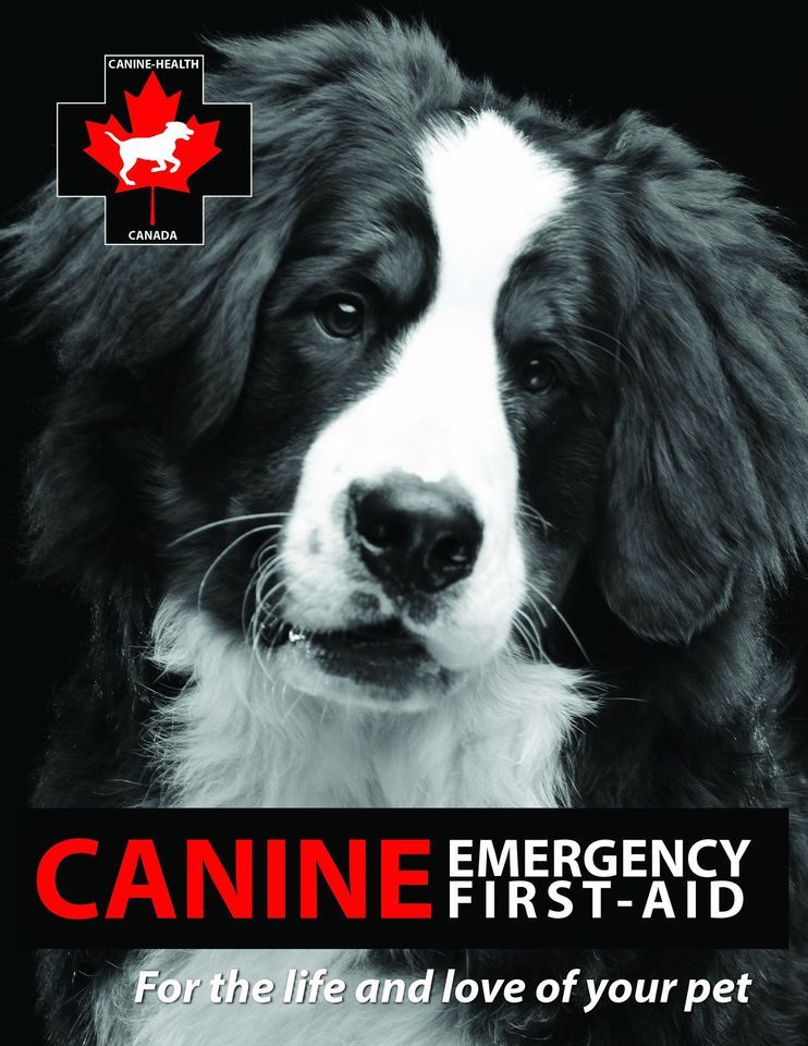 Canine Emergency First Aid