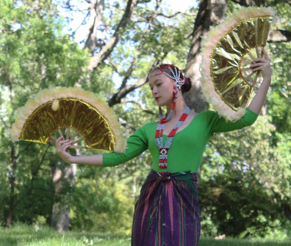 A Journey through the Philippines: Art of Mindanao: Indigenous Dances NEW