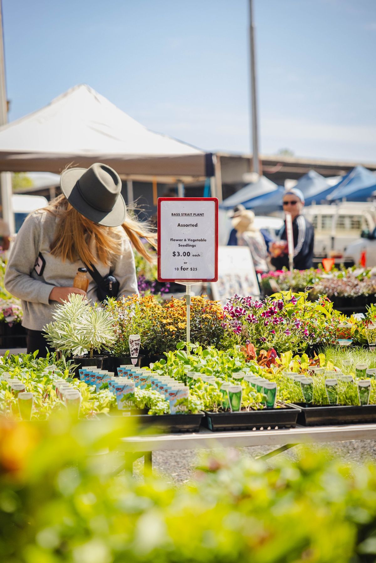 Devonport Farmers Market 