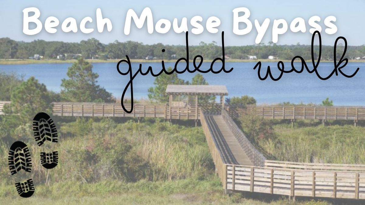 Beach Mouse Bypass Guided Walk