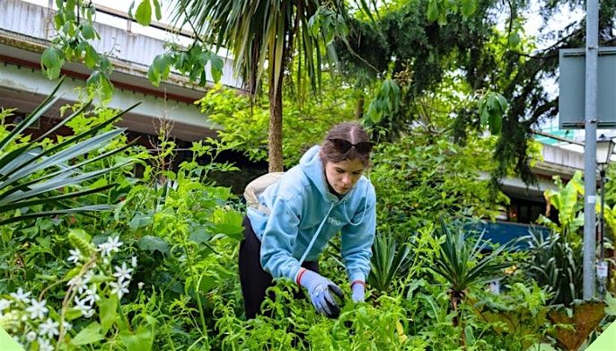 Westway Trust Environment Forum