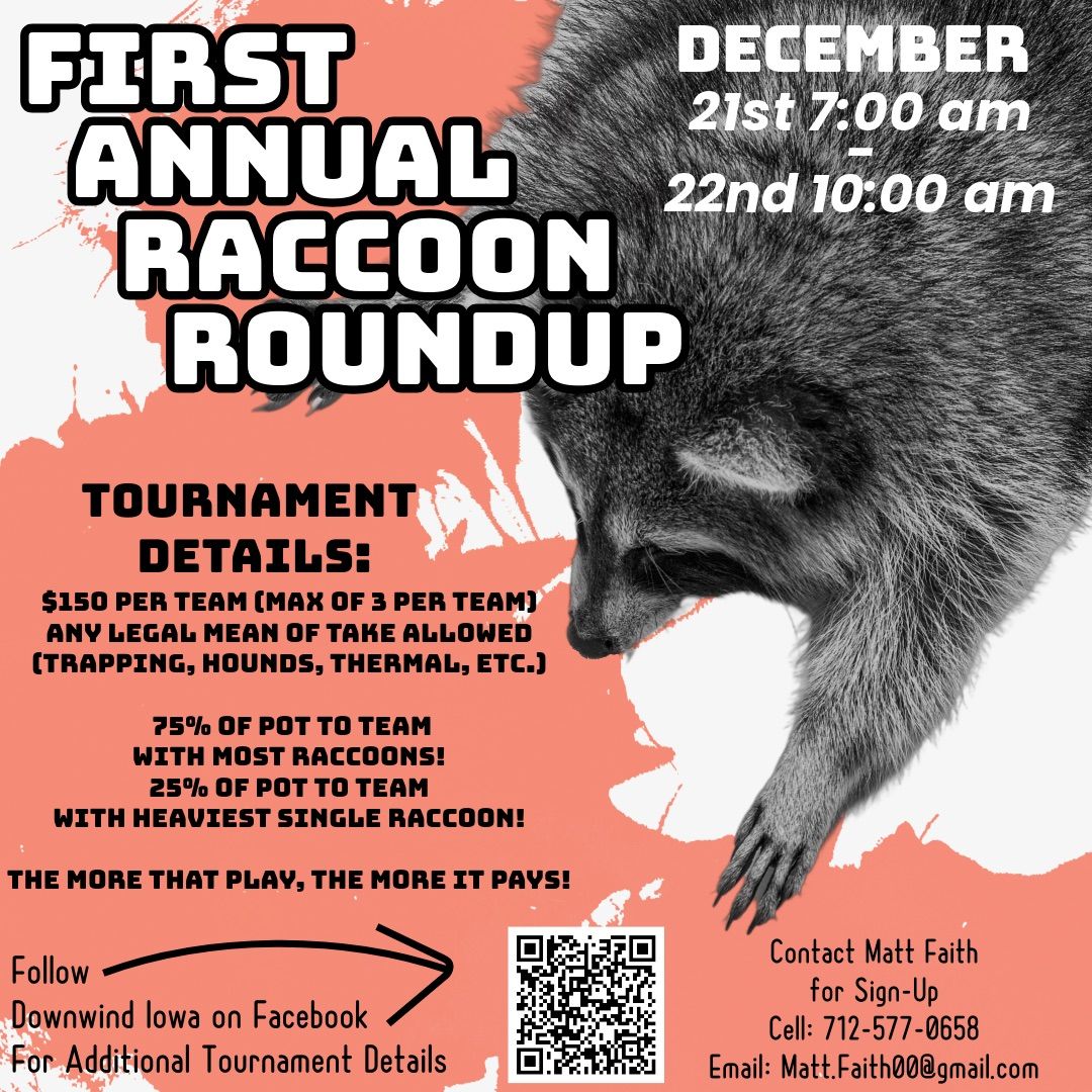 First Annual Raccoon Roundup