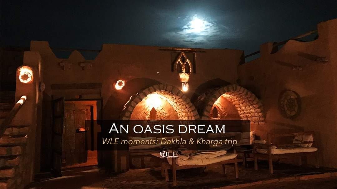 Dakhla & Kharga Oases trip by flight