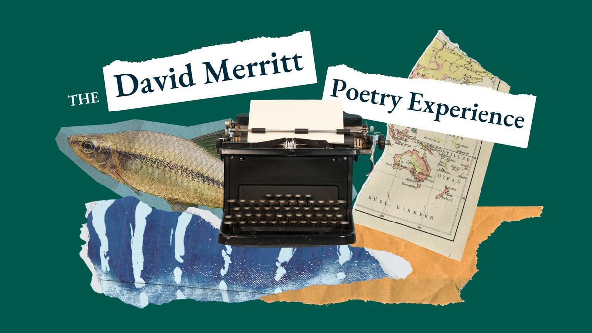 The David Merritt Poetry Experience