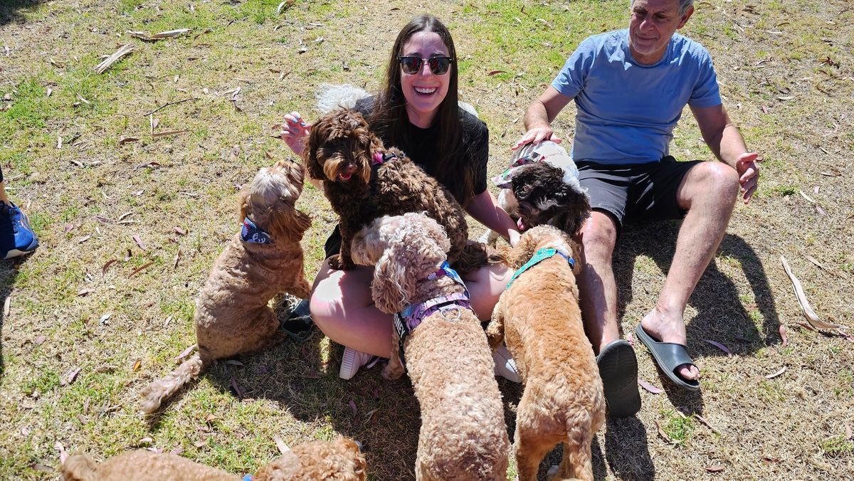 NY small oodle playdate fundraiser for Shenton Dogs refuge