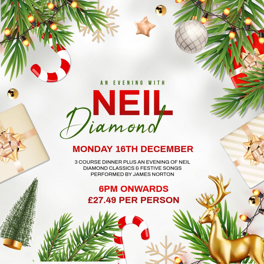 Festive Party Night- James Norton as Neil Diamond