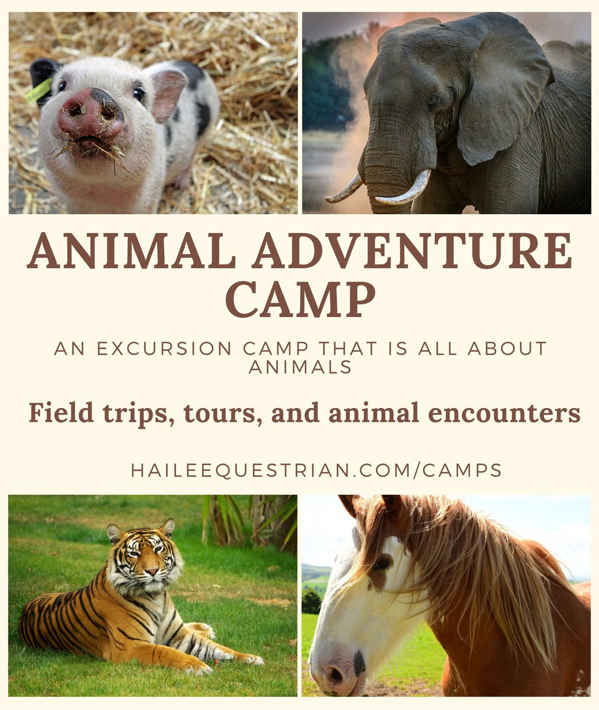 Animal Adventure Excursion Camp