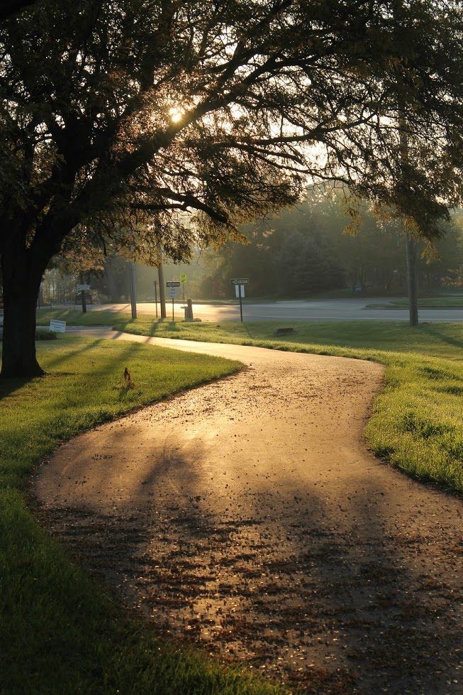 Community Trail Clean Up Day 