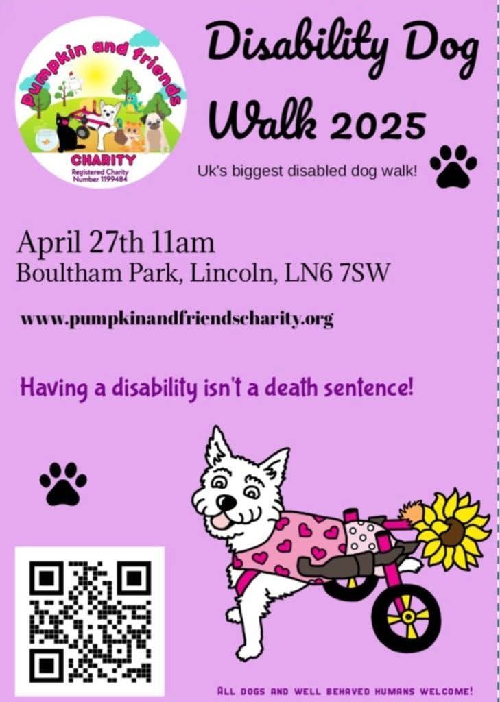 Disability Dog Walk 2025