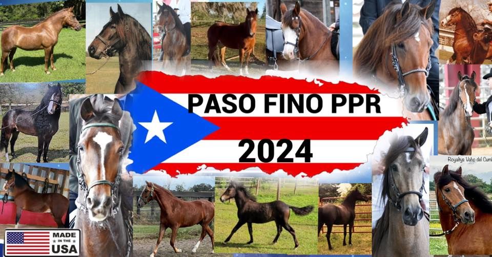 Annual Puerto Rican Paso Fino Show 