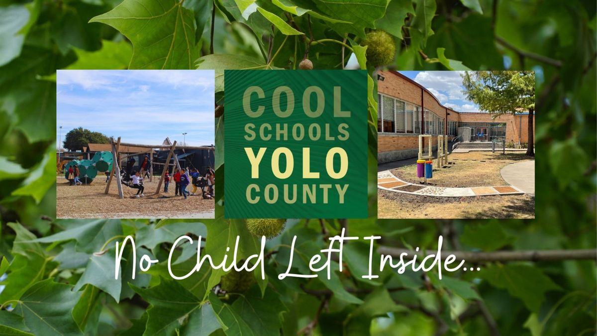 Cool School Yolo County Design Reveal Event