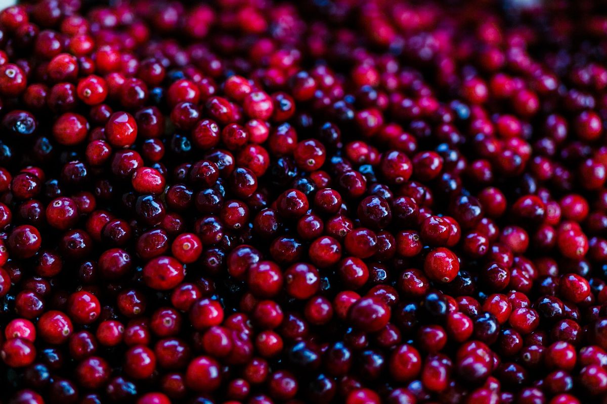 29th Annual Fort Langley Cranberry Festival