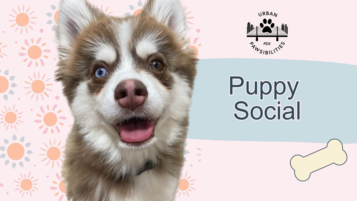 Puppy Socials, most Saturdays at 12:30 p.m.