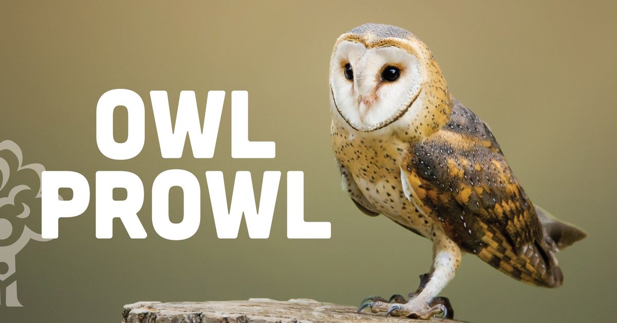 Owl Prowl