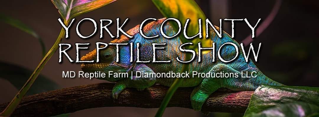 York County Reptile Show