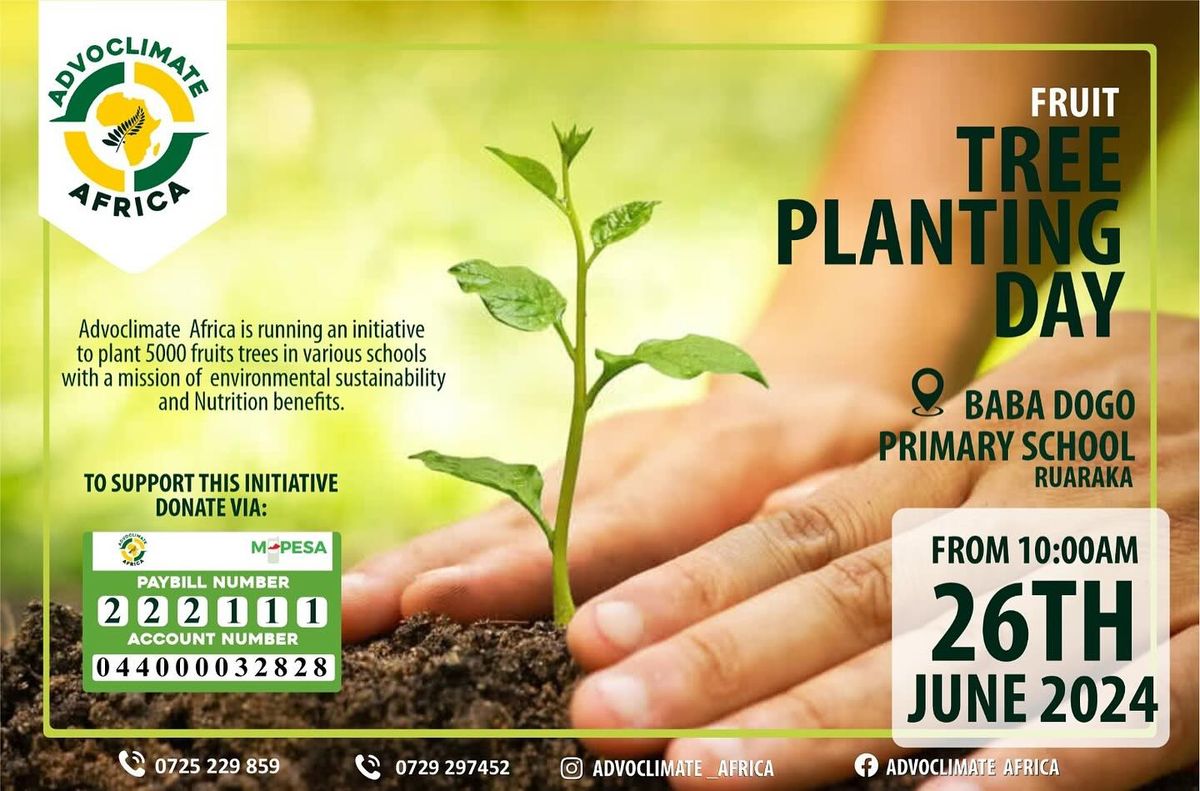 Advoclimate Africa's Fruit Tree Planting Initiative