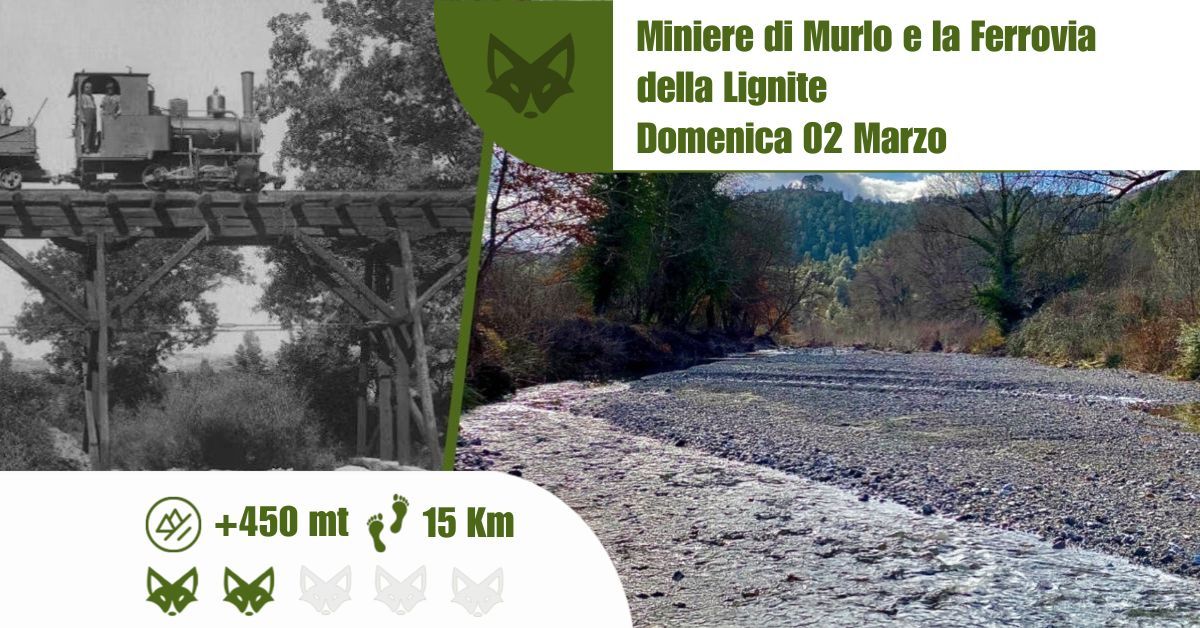 Miniere di Murlo e la Ferrovia della Lignite