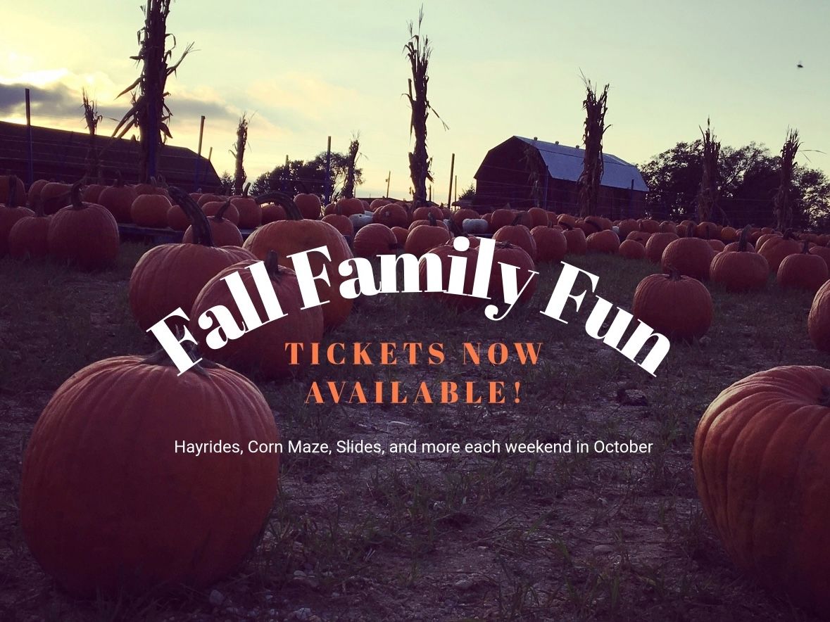 Fall Family Fun at Miller Farms