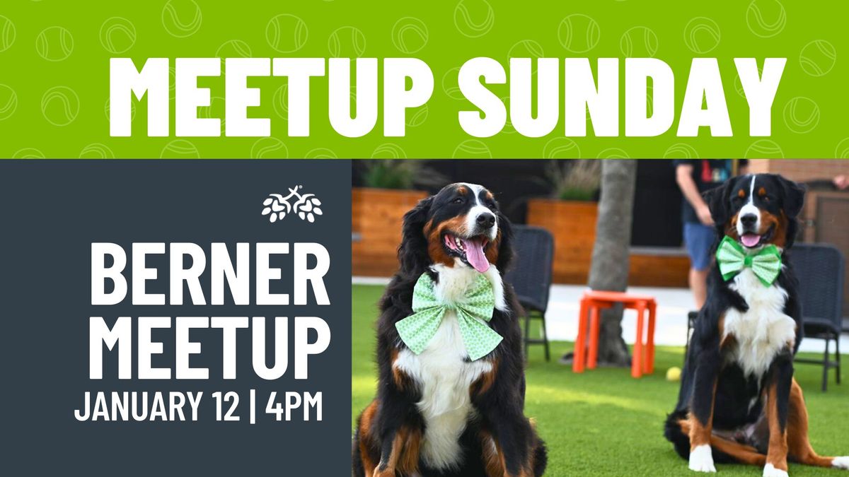 Berner Meetup 