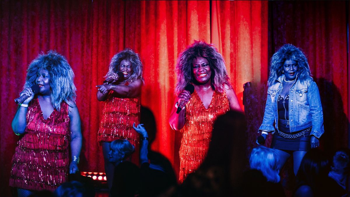 Tina Turner Tribute