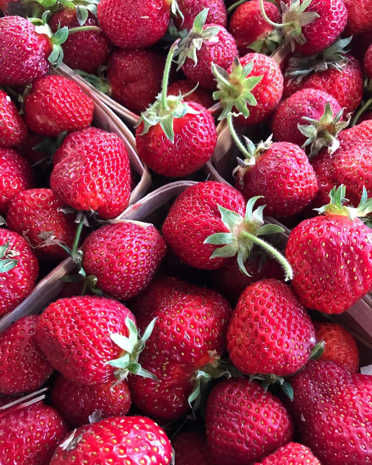 Ann Arbor Farmers Market