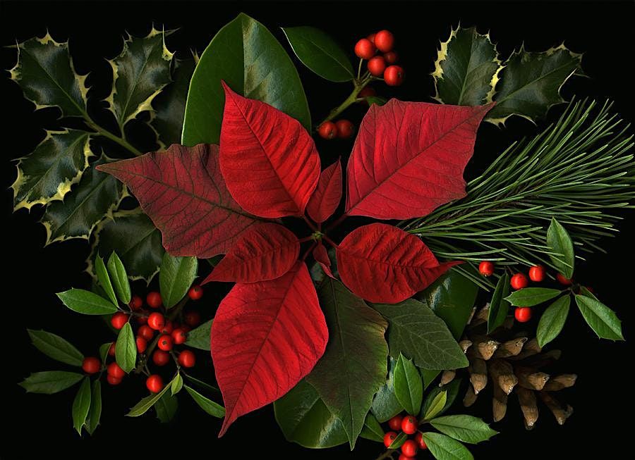 12\/19\/25 Singles Holiday Mixer Glow Up!