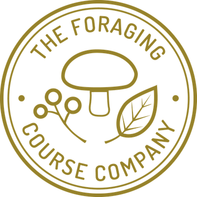 The Foraging Course Company