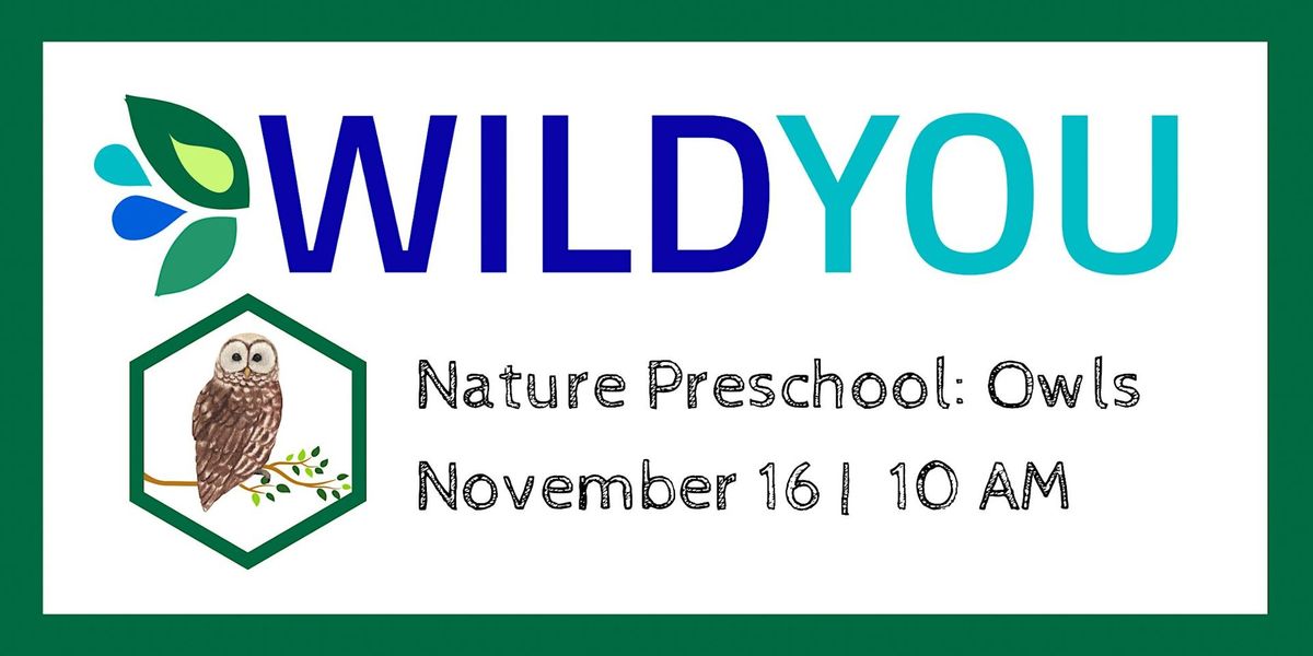 Nature Preschool: Owls