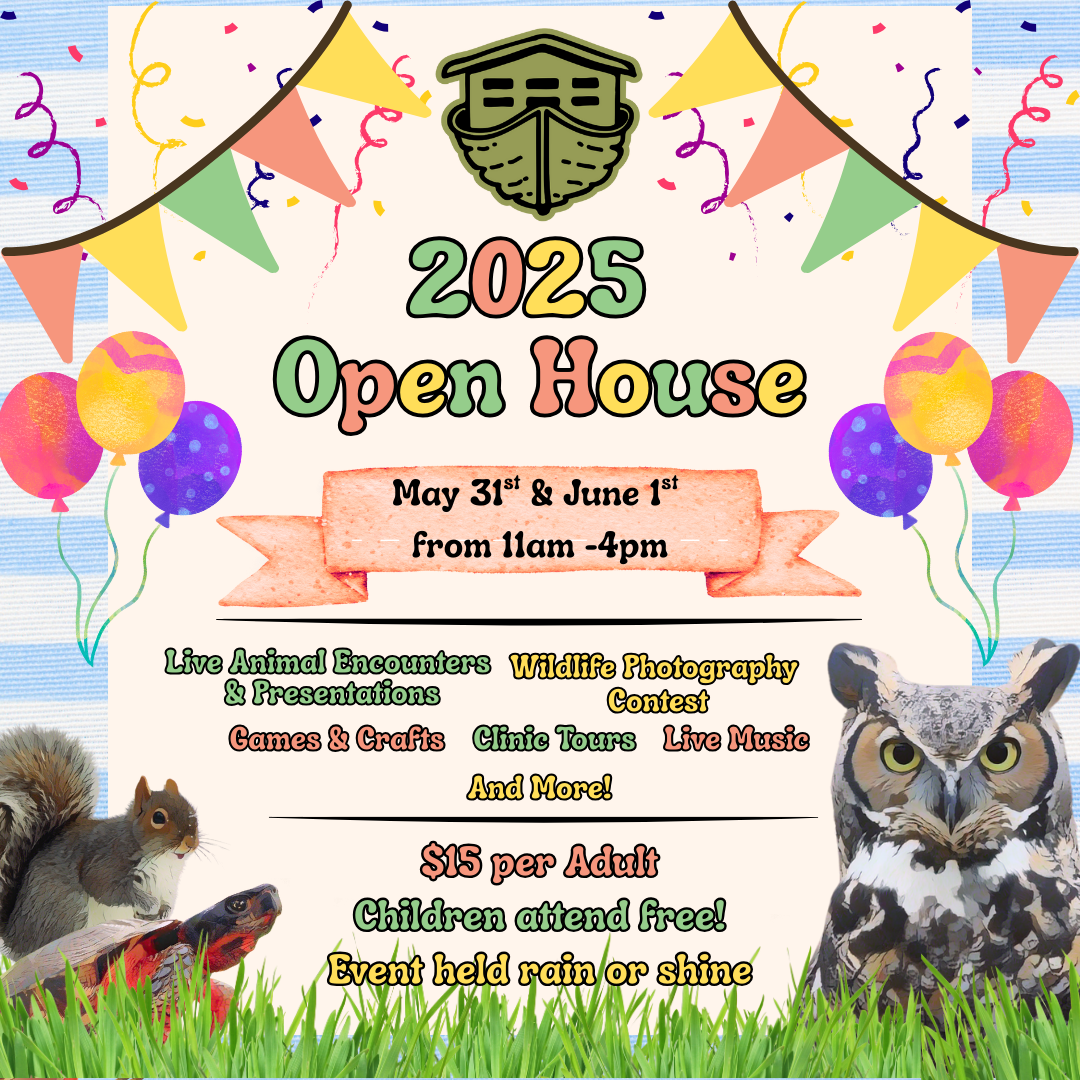 Rehab at Bourbon Theatre