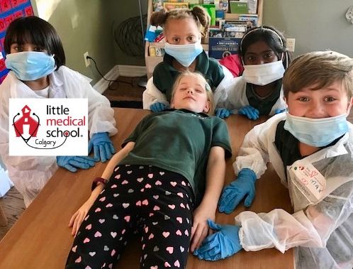 Little Doctor School Summer Camp: Calling All Future Doctors Ages 6 \u2013 11 Dalhousie NW
