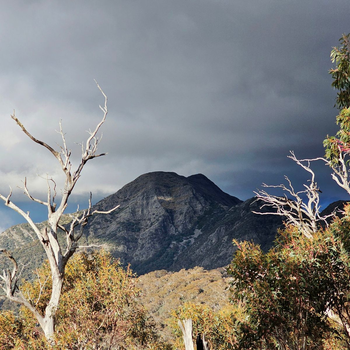 **FREE HIKE** Mount Buller West Ridge