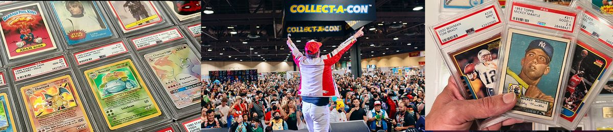 Collect A Con - Sunday at George Brown Convention Center